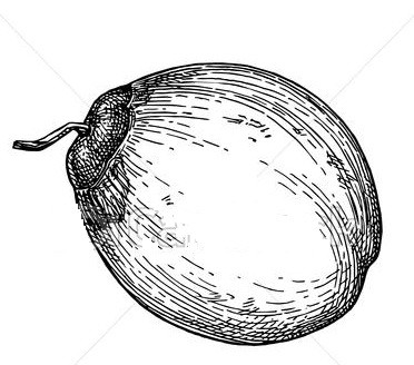 বাংলাদেশ কংগ্রেস