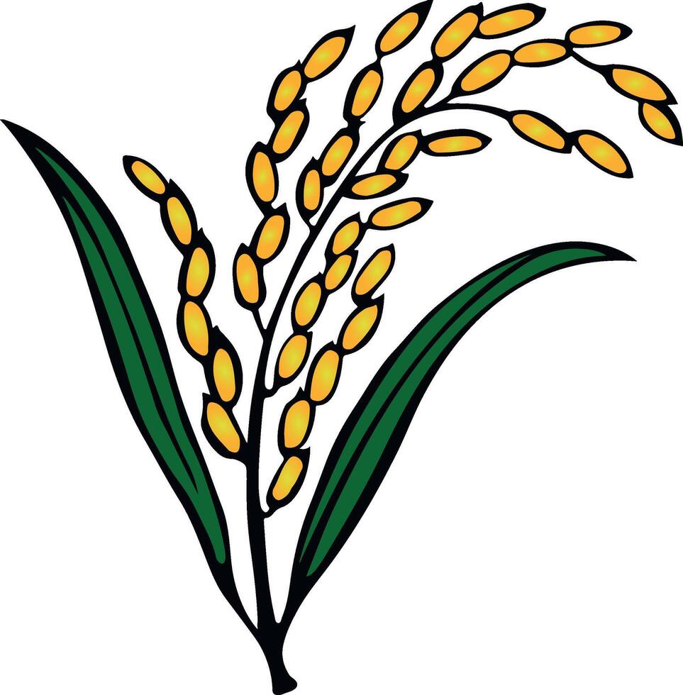 বাংলাদেশ জাতীয়তাবাদী দল