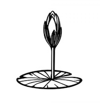 জাতীয় নাগরিক পার্টি